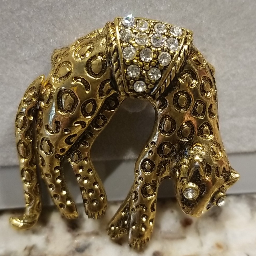 Jaquar pin